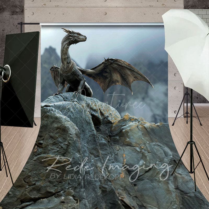 Aperturee - Aperturee Fantasy Fairy Tale Black Magic Dragon Sweep Backdrop