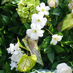 Aperturee - Aperturee Green Plant Leaves White Rose Flower Wall For Wedding