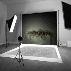 Aperturee Aperturee Minimalist Fine Art Photography Backdrop Dark Moody Wall with Greenery Branch Modern and Elegant Studio Prop