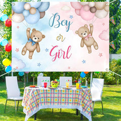Aperturee - (Ship In 24HR) Aperturee Pink Blue Bear Boy Or Girl Baby Shower Backdrop