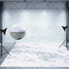 Aperturee - Aperturee Snowy Wild Mountain Forest Scene Room Set Backdrop