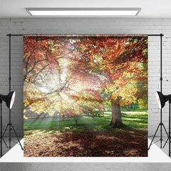 Aperturee Aperturee Sunlight Maple Forest Autumn Photo Room Set Backdrop