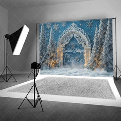 Aperturee - Aperturee White Silver Arch Lights Christmas Backdrop Blue Winter Wonderland Snowflake Photography Background