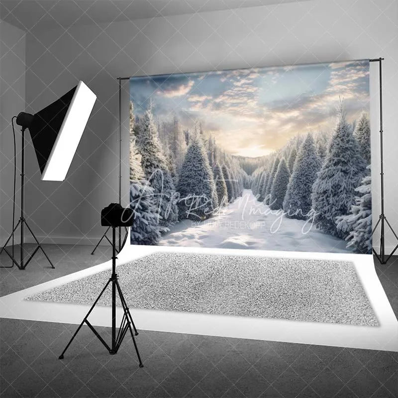 Aperturee - Aperturee Winter Wonderland Backdrop Snowy Pine Forest Path Sunset Sky Nature Photo Background