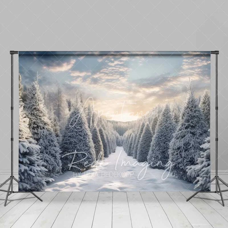Aperturee - Aperturee Winter Wonderland Backdrop Snowy Pine Forest Path Sunset Sky Nature Photo Background