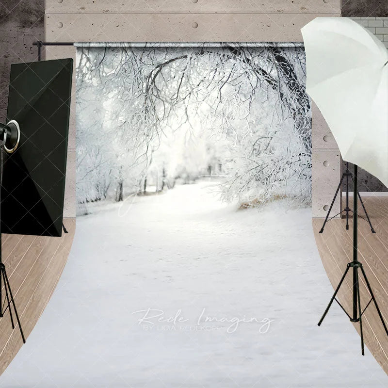 Aperturee - Aperturee Winter Wonderland Snowy Forest Backdrop White Frost Trees Snow Path Nature Christmas Photography Background