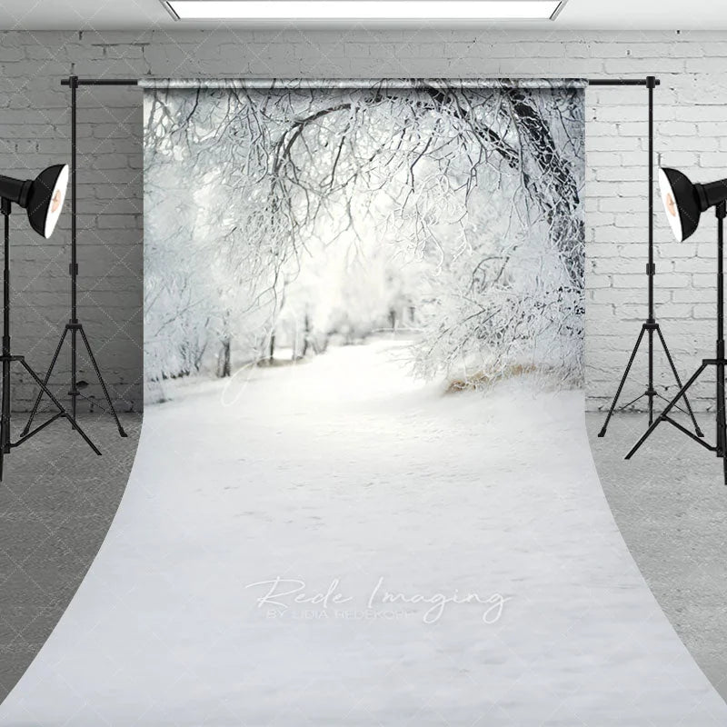 Aperturee - Aperturee Winter Wonderland Snowy Forest Backdrop White Frost Trees Snow Path Nature Christmas Photography Background