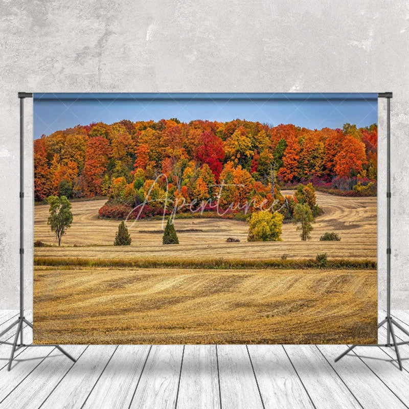 Aperturee - Autumn Forest Colorful Natural Landscape Backdrop