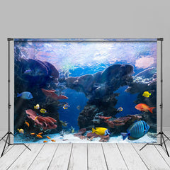 Aperturee - Beautiful Colored Aquarium Fish Summer Backdrop