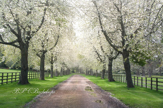 Aperturee - Blooming Trees Path Spring Flower Backdrop For Photo Booth