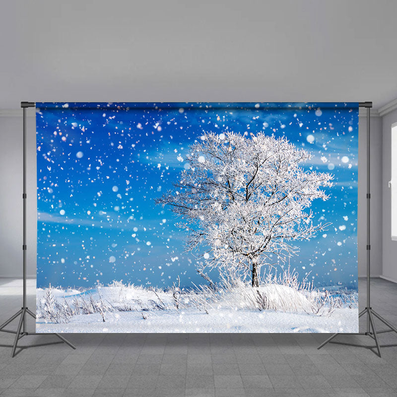Aperturee - Blue Sky Snowy Tree Winter Backdrop For Photo