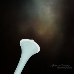 Aperturee - Burnished Light In Dark Photography Studio Backdrop