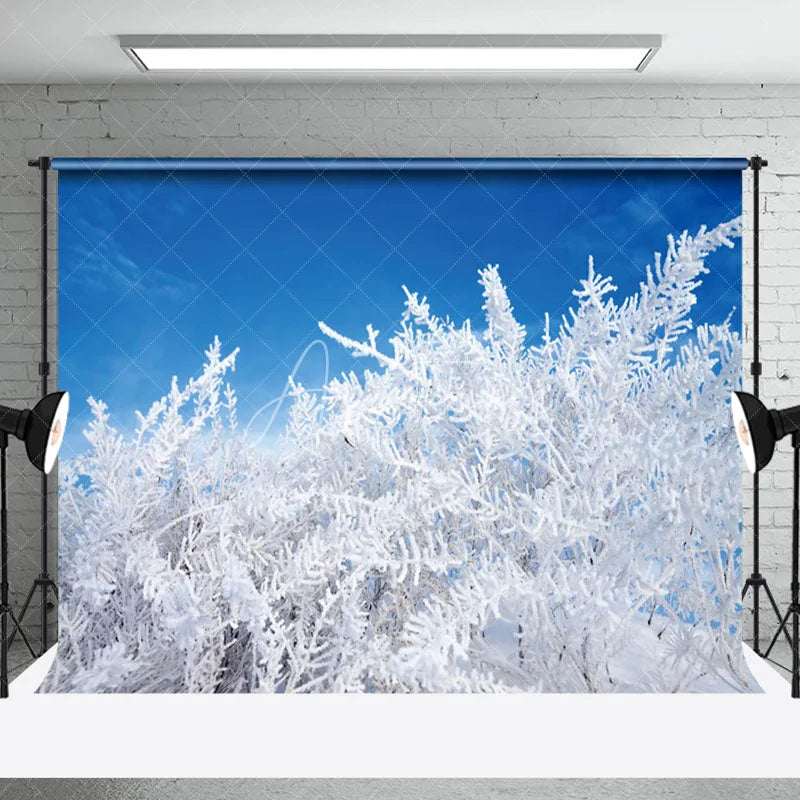 Cedar Snowflake Blue Sky Wonderland Winter Backdrop - Aperturee