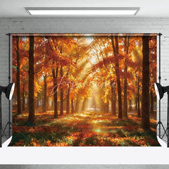 Aperturee - Forest Autumn Leaves Sunshine Photo Backdrop