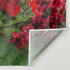 Aperturee - Magic Wonderland Red Rose Happy Valentine Backdrop