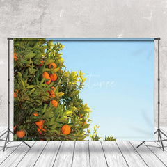 Aperturee - Orange Trees Under The Blue Sky Fruit Photo Backdrop
