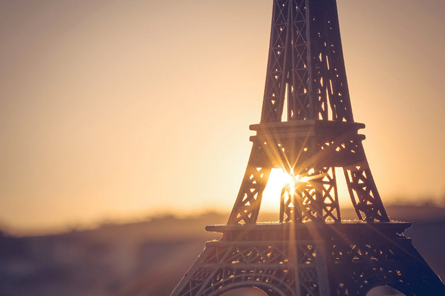 Aperturee - Paris Tower Sunshien Photography Valentines Day Backdrop