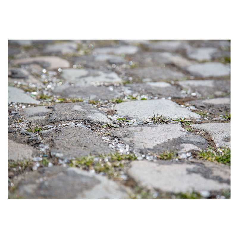 Aperturee - Rustic Gravel Weeds Bokeh Floor Mat For Photography