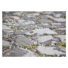 Aperturee - Rustic Gravel Weeds Bokeh Floor Mat For Photography