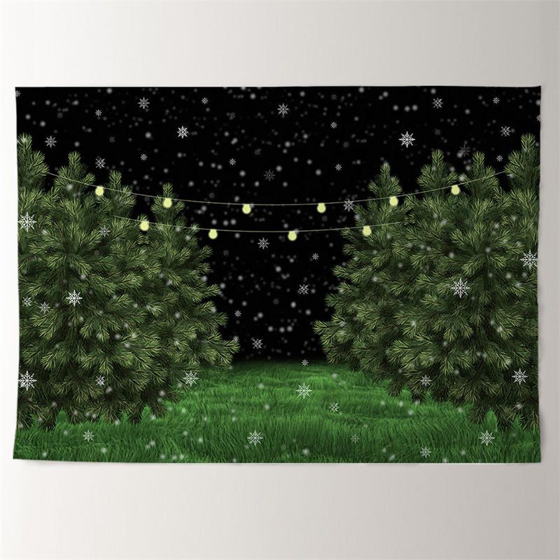 Aperturee - Snowy Green Grass Tree Lights Winter Eve Backdrop