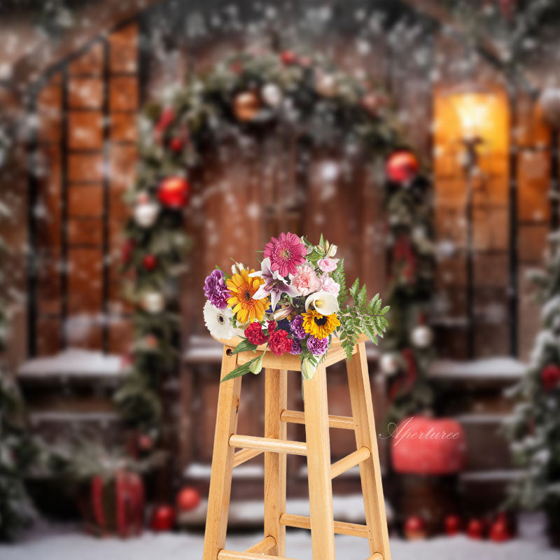 Aperturee - Snowy Wooden Door Light Winter Christmas Backdrop