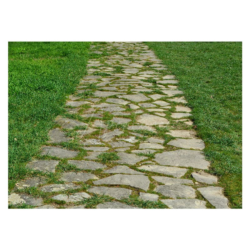 Aperturee - Spring Country Stone Road Weeds Photo Floor Mat