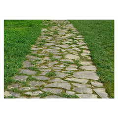 Aperturee - Spring Country Stone Road Weeds Photo Floor Mat