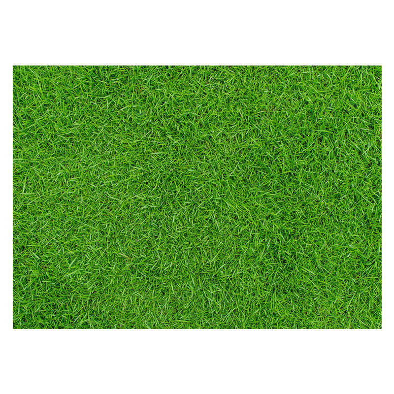 Aperturee - Spring Fresh Grass Lawn Floor Mat For Photo Booth