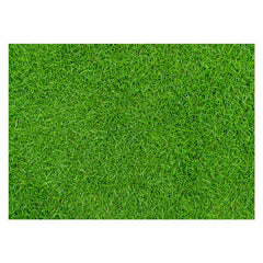Aperturee - Spring Fresh Grass Lawn Floor Mat For Photo Booth