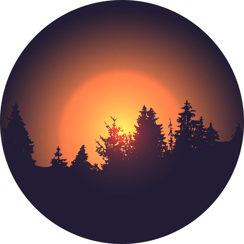 Aperturee - Sunrise And Forest Theme Round Birthday Backdrop