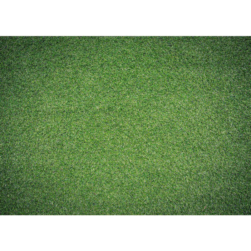 Aperturee - Test Fresh Green Grass Field Floor Backdrop For Photo