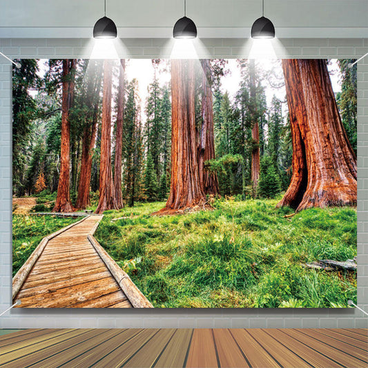 Aperturee - Towering Tree Wood Board Path Spring Forest Backdrop