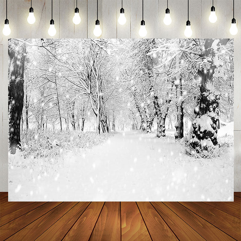 Aperturee - White Frozen Forest Path Winter Bokeh Party Backdrop