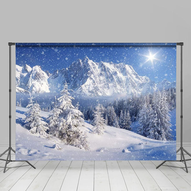 Aperturee - Winter Snow Mountain Cedar Forest Sunshine Backdrop