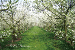 Aperturee - Blooming Flowers Apple Tree Spring Backdrop For Portrait