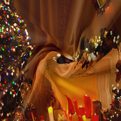 Aperturee - Christmas Tree Warm Light Candle Holiday Backdrop