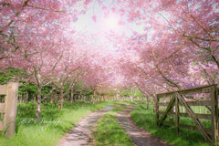 Aperturee - Farm Blooming Tree Garden Flowers Spring Portrait Backdrop