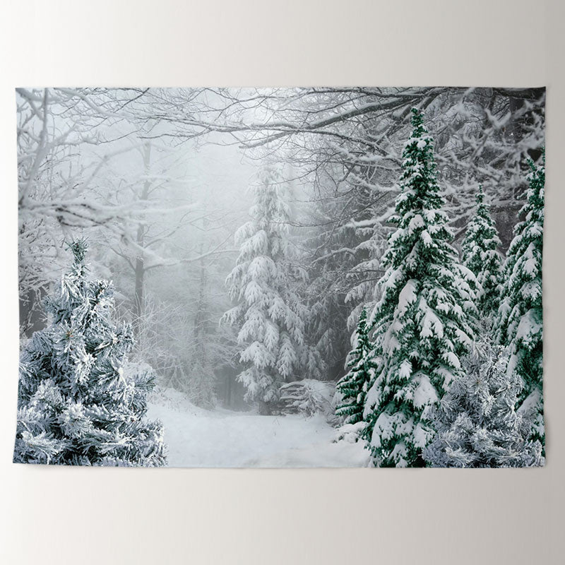 Aperturee - Foggy Wild Forest Trees Snowy Winter Backdrop