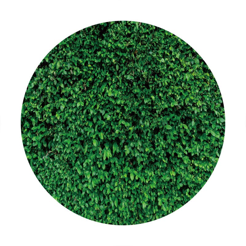 Aperturee - Green Leaves Circle Happy Birthday Backdrop