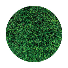 Aperturee - Green Leaves Circle Happy Birthday Backdrop