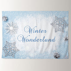 Aperturee - Light Blue Winter Wanderland Holiday Backdrop