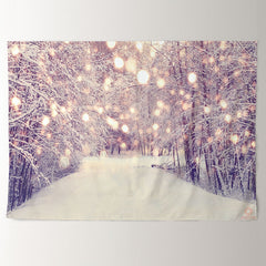 Aperturee - Light Spot Snowy Tree Avenue Winter Scene Backdrop