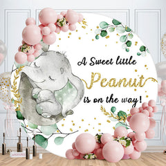 Aperturee - Little Sweet Peanut Glitter Baby Shower Backdrop
