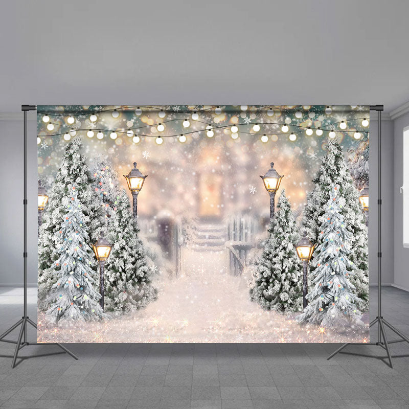 Aperturee - Quiet Snowy Garden Lamp White Christmas Backdrop