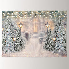 Aperturee - Quiet Snowy Garden Lamp White Christmas Backdrop