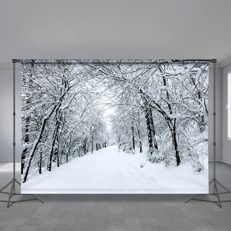 Aperturee - Snowy Lane Cold White Black Winter Scene Backdrop
