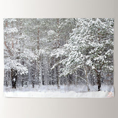 Aperturee - Snowy Winter Forest Peaceful Christmas Backdrop