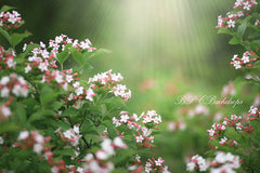 Aperturee - Spring Child Blooming Flowers Portait Backdrop