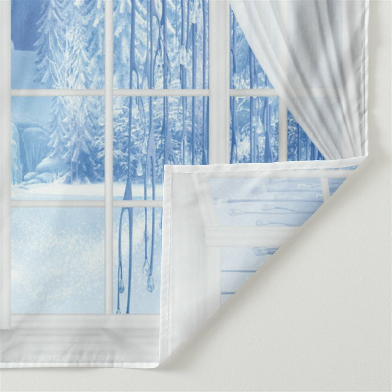 Aperturee - White Window Frozen Blue Scene Winter Backdrop
