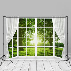 Aperturee - White Window Green Grass Sunshine Spring Backdrop